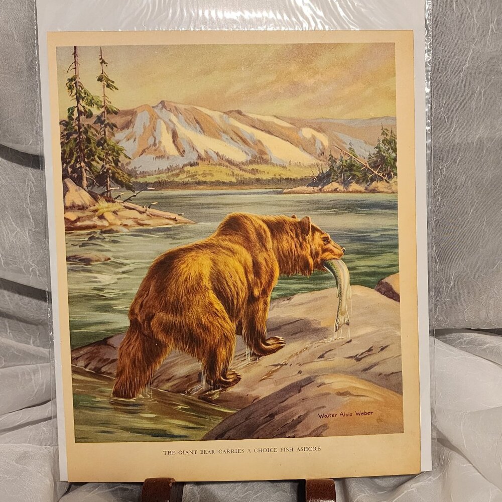 The Giant Bear - Walter Alois Weber - 1934 Print